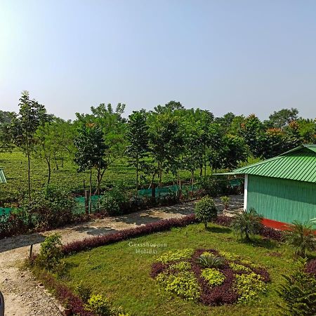 Chālsa Grasshopper Jungle Queen Resort מראה חיצוני תמונה
