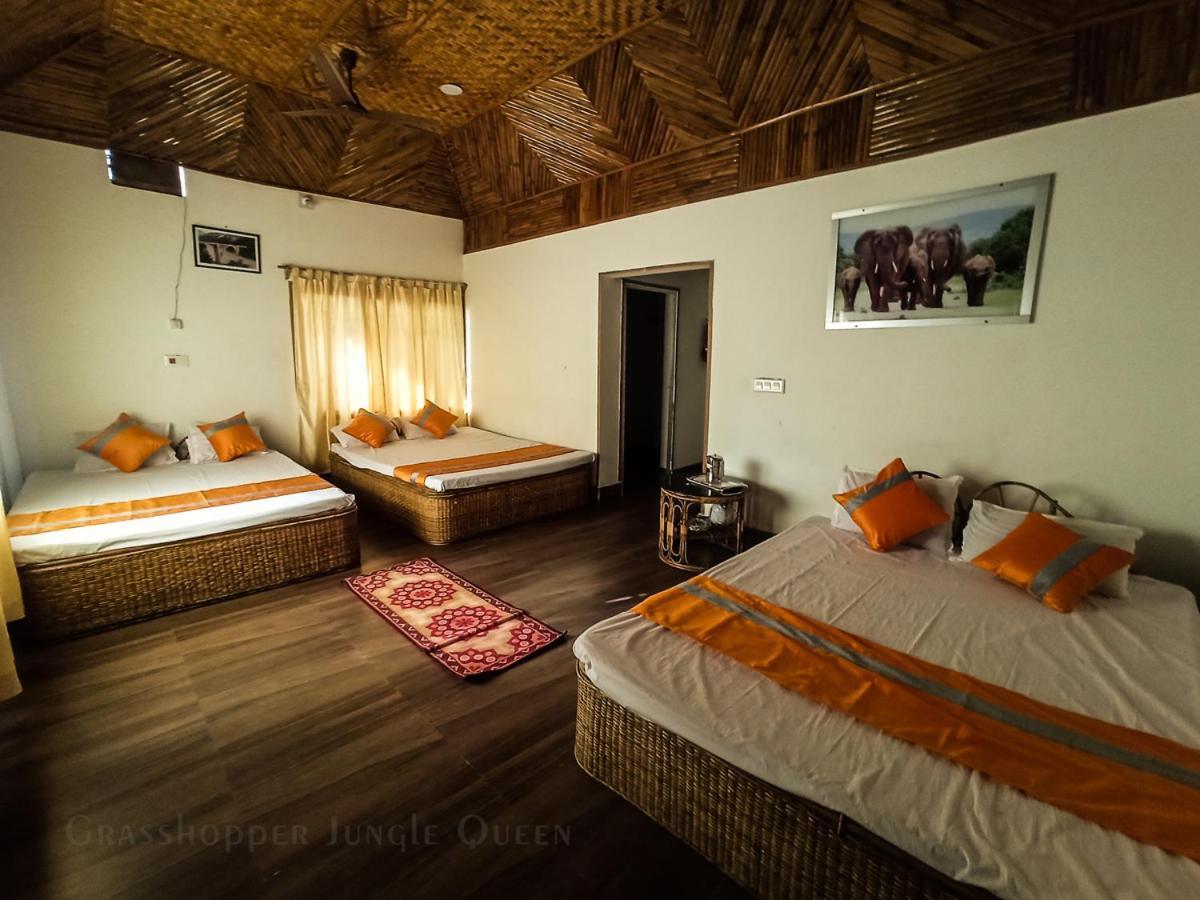 Chālsa Grasshopper Jungle Queen Resort מראה חיצוני תמונה