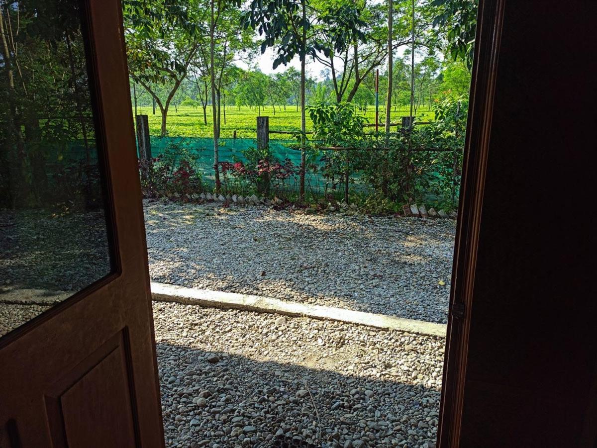 Chālsa Grasshopper Jungle Queen Resort מראה חיצוני תמונה