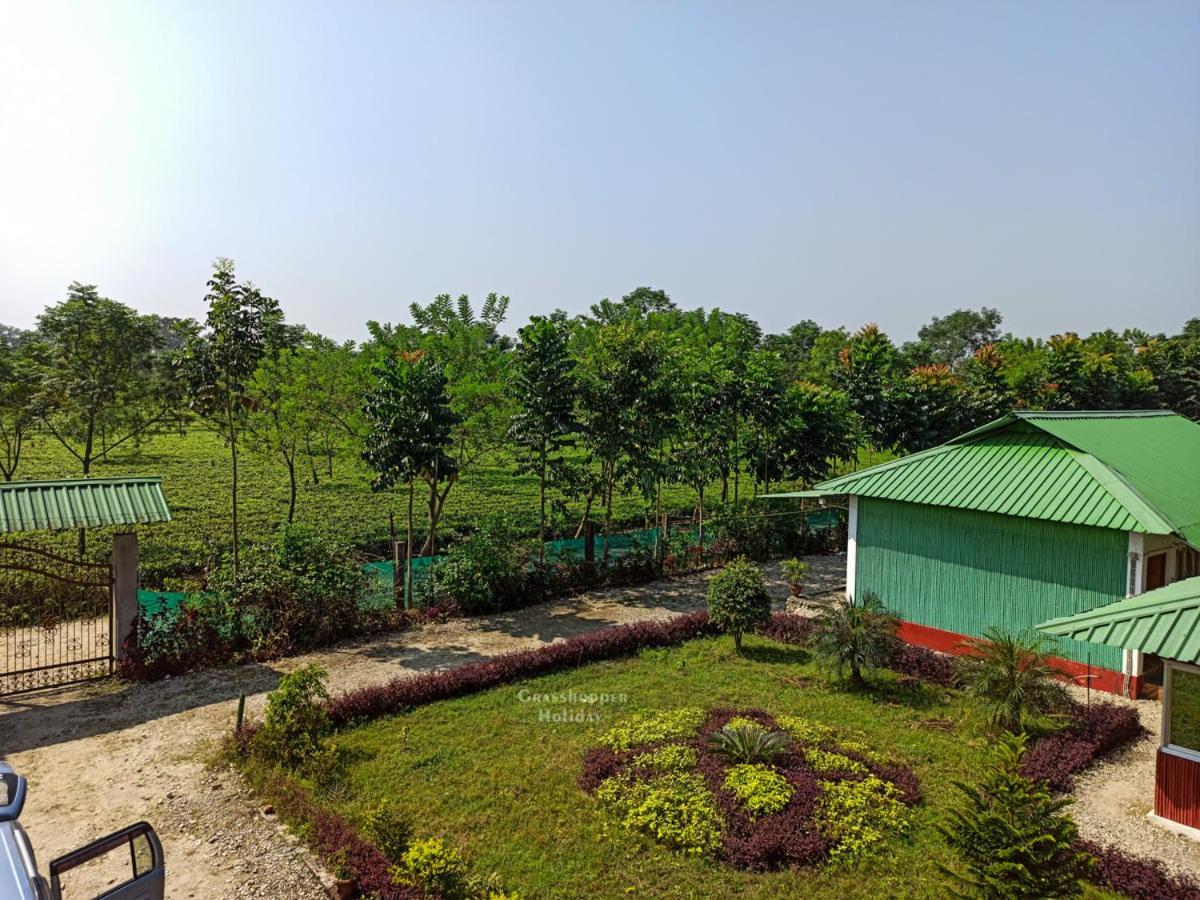 Chālsa Grasshopper Jungle Queen Resort מראה חיצוני תמונה